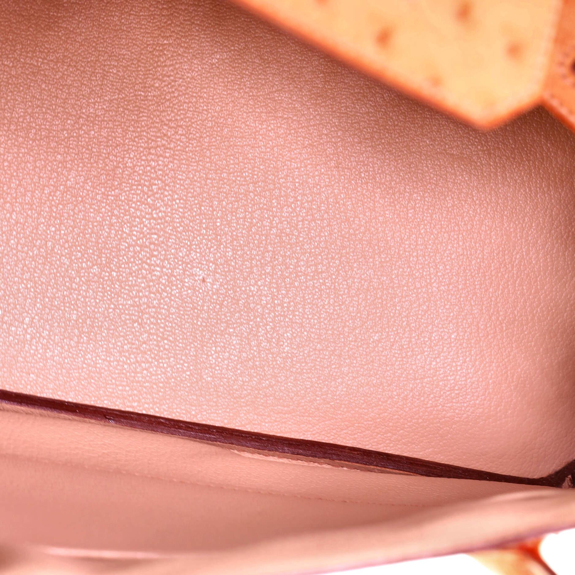 Hermes Birkin Handbag Brown Ostrich with Palladium Hardware 30 2