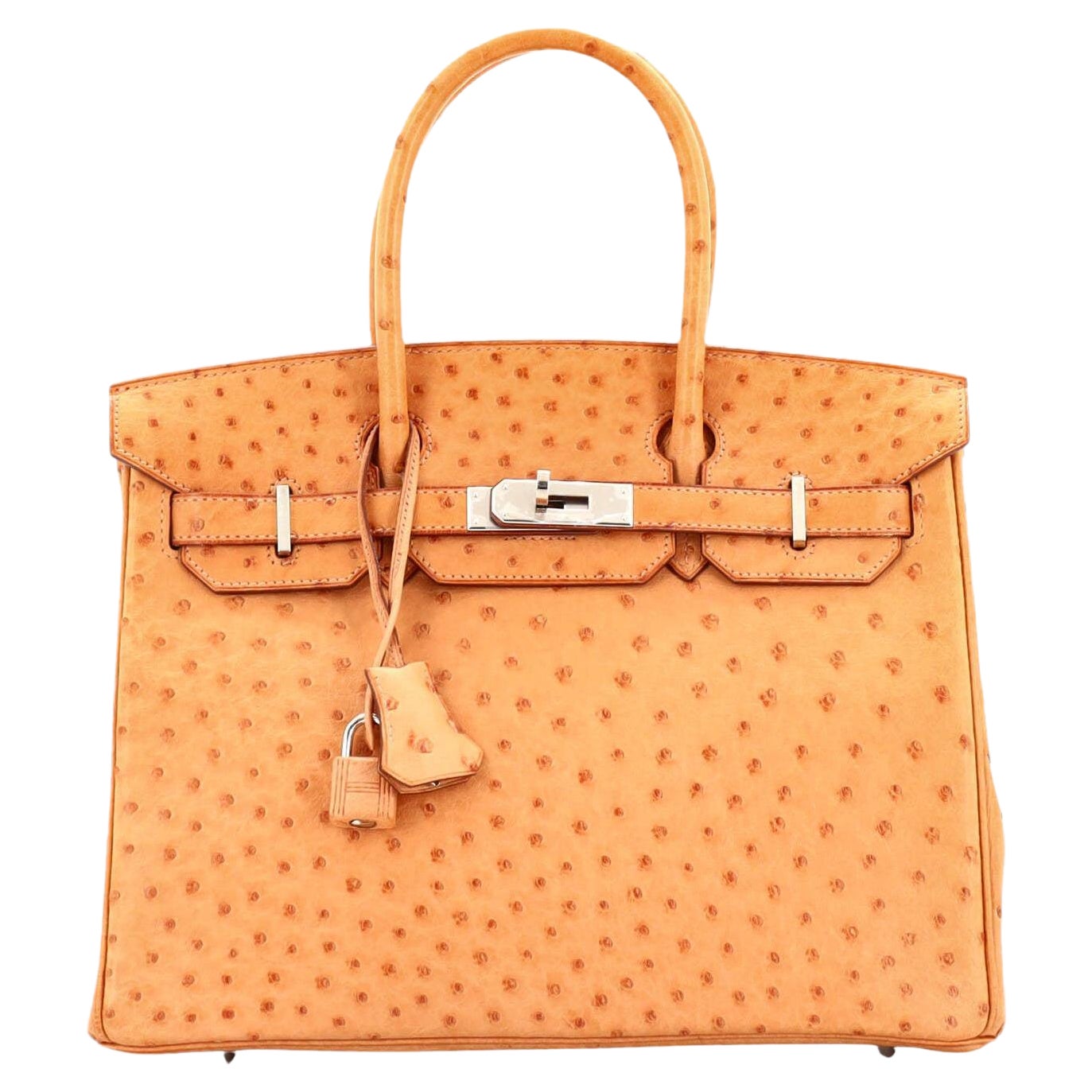 Hermes Birkin Handbag Brown Ostrich with Palladium Hardware 30