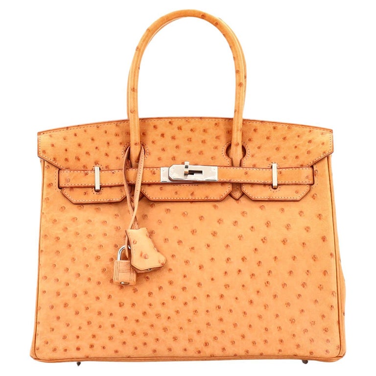 Hermes Birkin Handbag Brown Ostrich with Palladium Hardware 30 For Sale