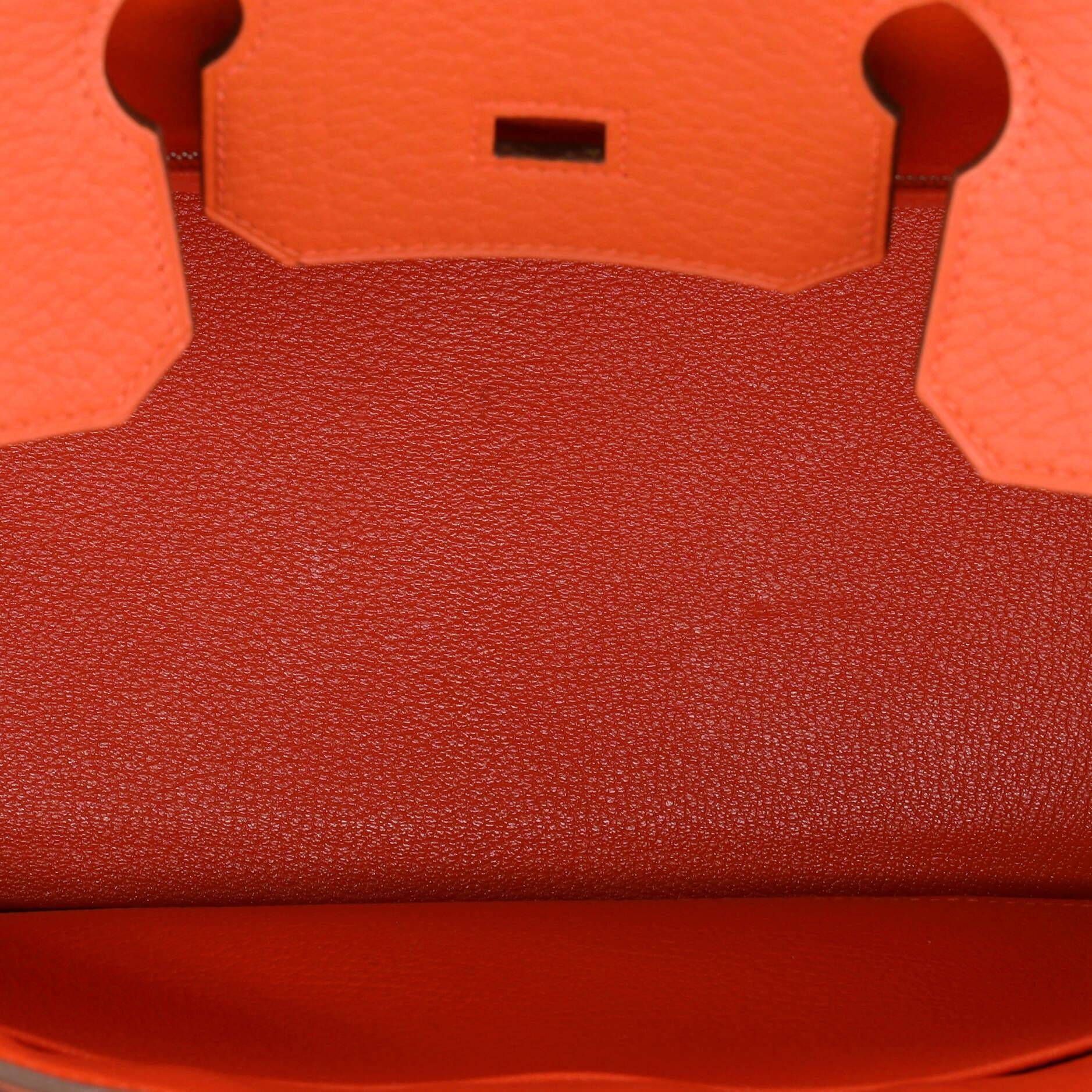 Hermes Birkin Handbag Capucine Fjord with Palladium Hardware 30 2