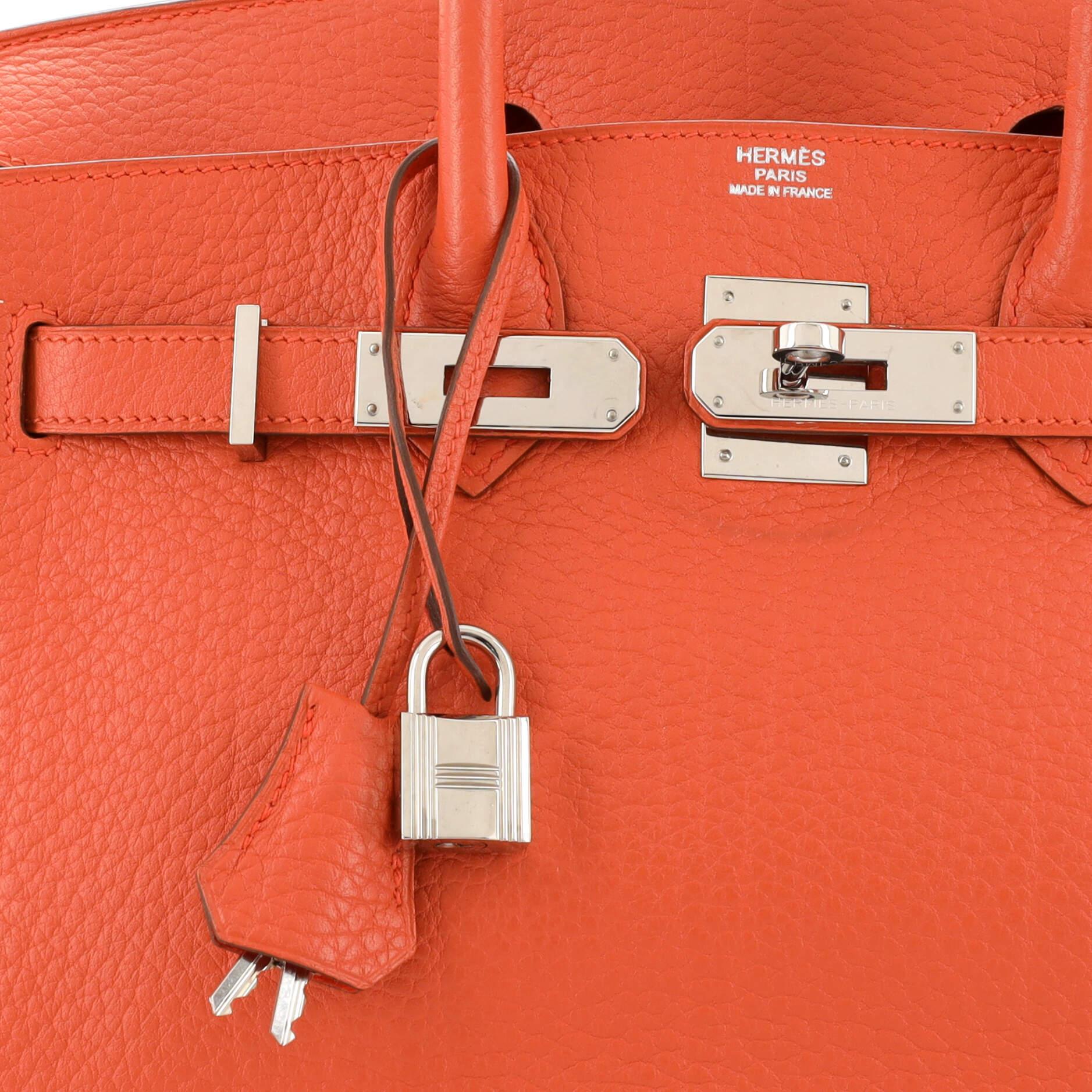 Hermes Birkin Handbag Capucine Fjord with Palladium Hardware 30 3