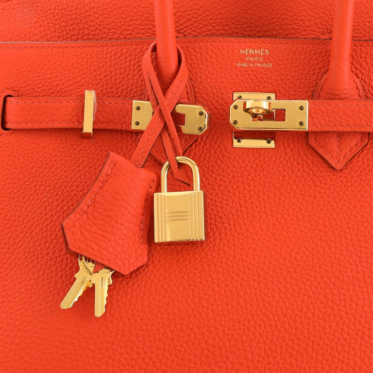 Hermes Birkin Bag 25cm Capucine Togo Gold Hardware