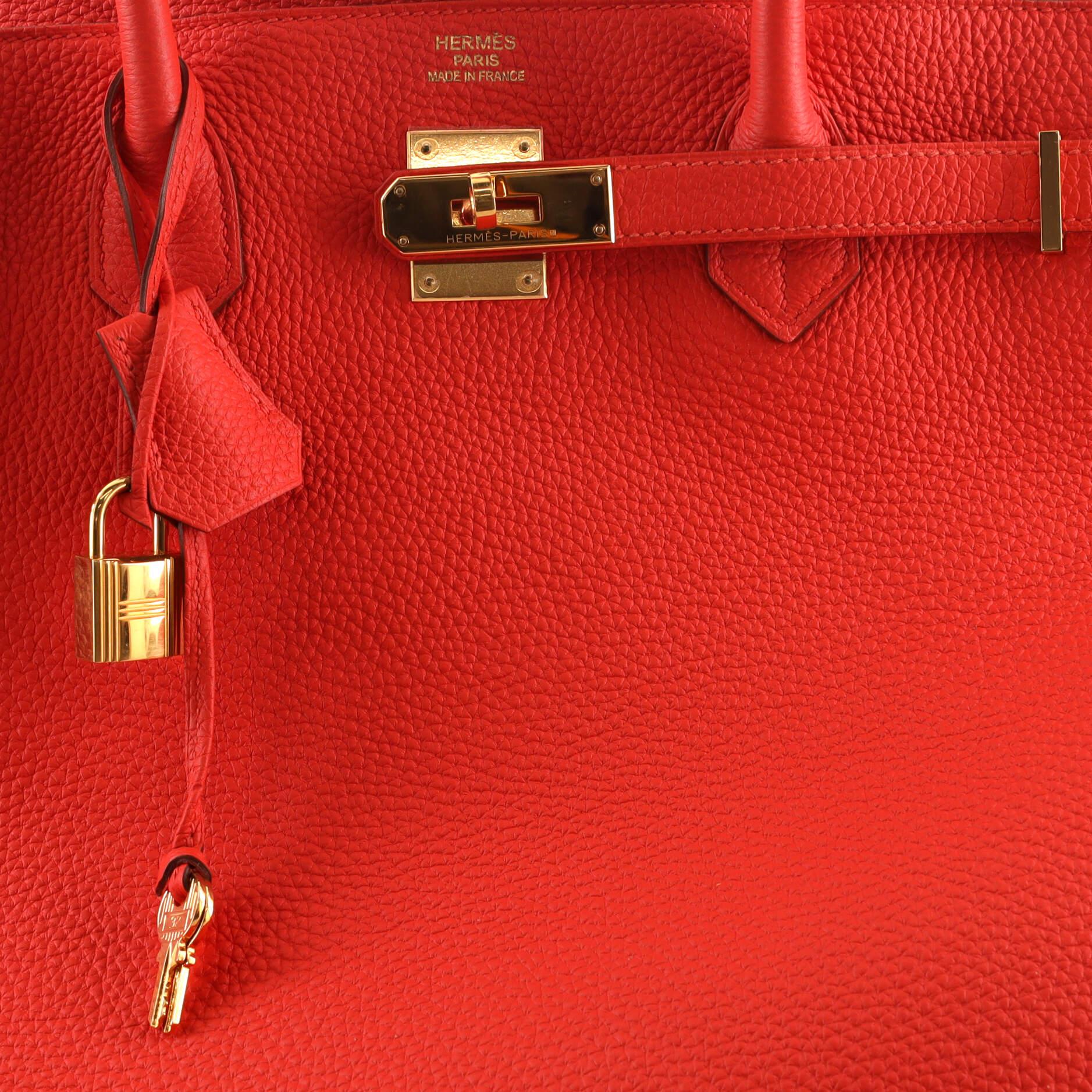 Hermes Birkin Handbag Capucine Togo with Gold Hardware 40 3