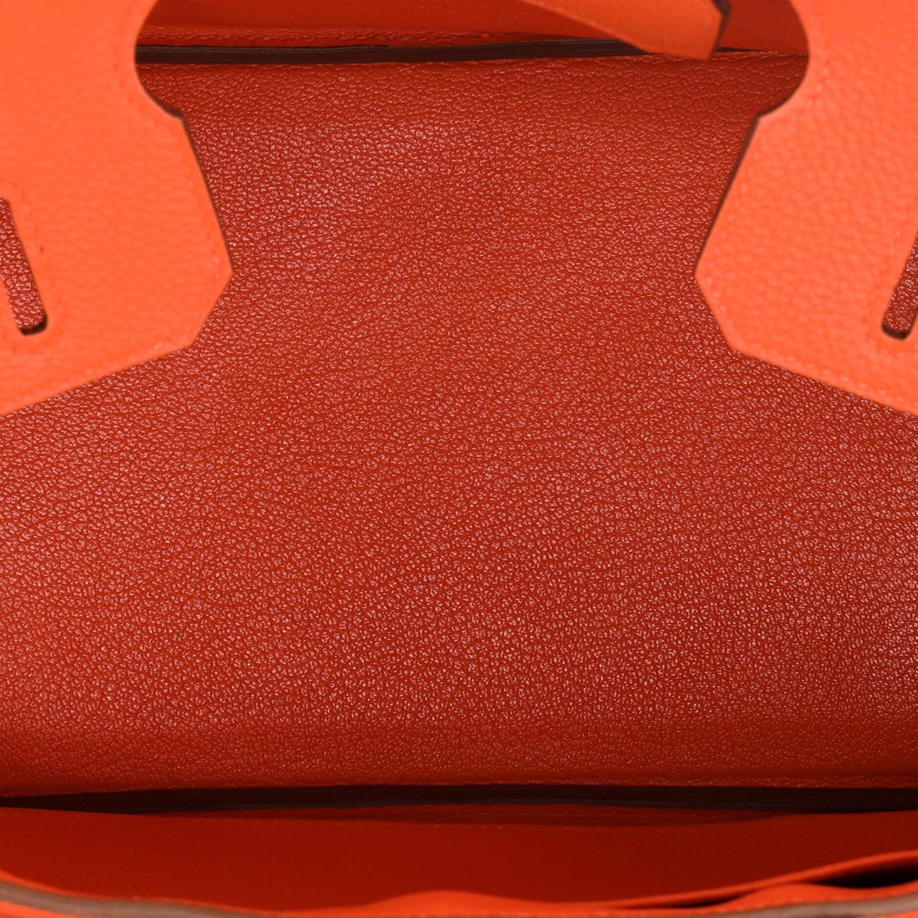 Hermes Birkin Handbag Capucine Togo with Palladium Hardware 30 1