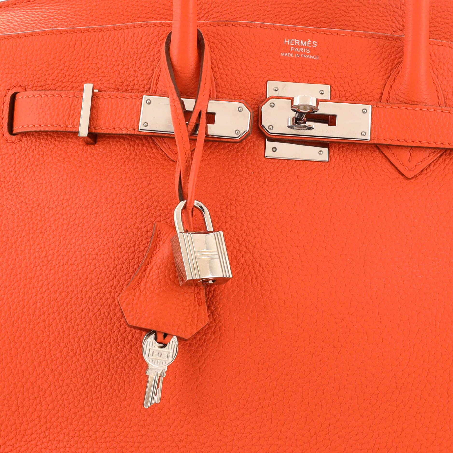 Hermes Birkin Handbag Capucine Togo with Palladium Hardware 30 2