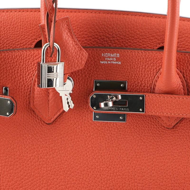 Hermes Birkin Handbag Capucine Togo with Palladium Hardware 30 2