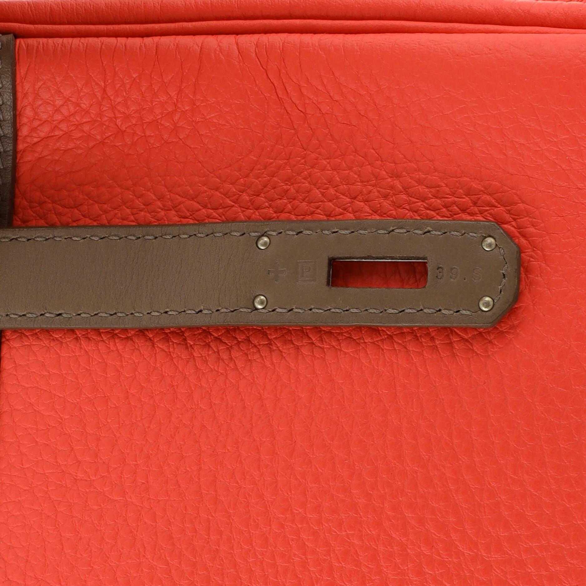Hermes Birkin Handbag Cascade Tricolor Clemence and Swift with Brushed Palladium 5