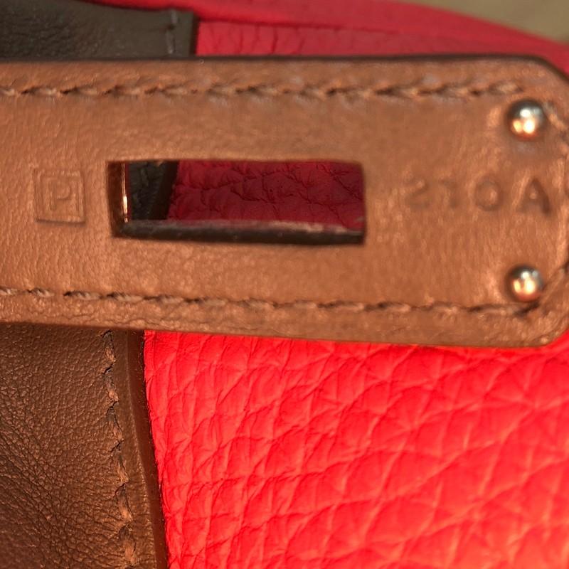 Hermes Birkin Handbag Cascade Tricolor Clemence & Swift w Brushed Palladium 35 5