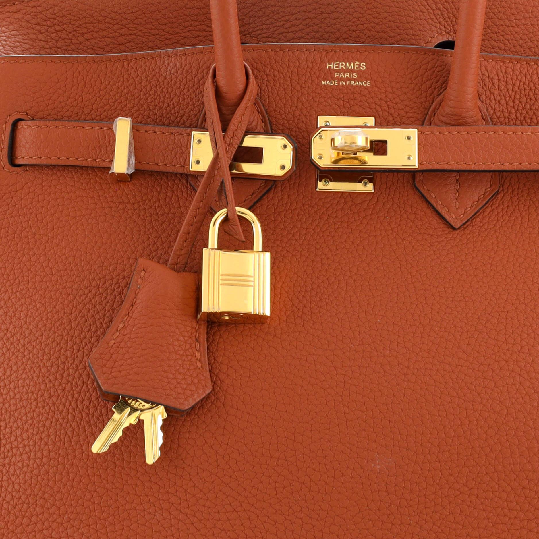 Hermes Birkin Handbag Cuivre Togo with Gold Hardware 25 1