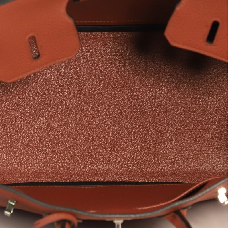 Hermes Birkin Handbag Cuivre Togo with Palladium Hardware 25 3