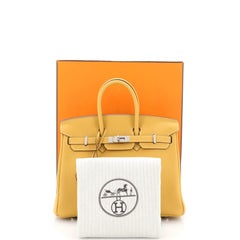Hermes Birkin Handbag Curry Togo with Palladium Hardware 25