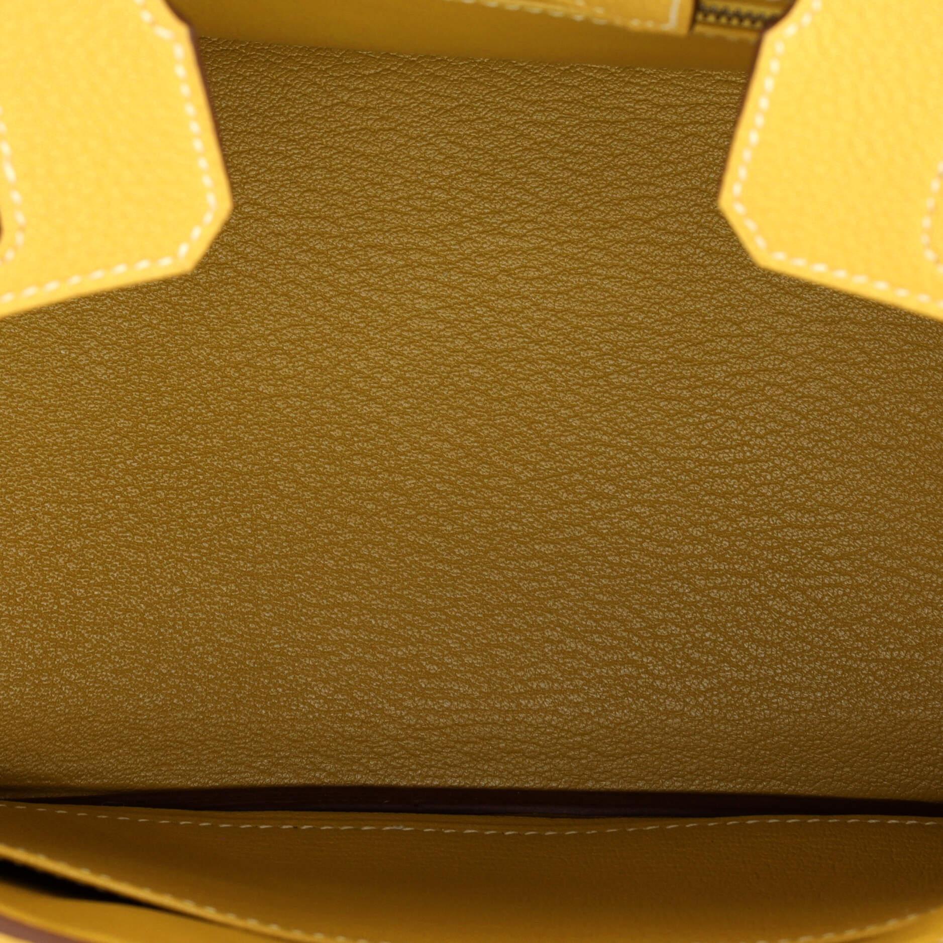 Hermes Birkin Handbag Curry Togo with Palladium Hardware 25 For Sale 2