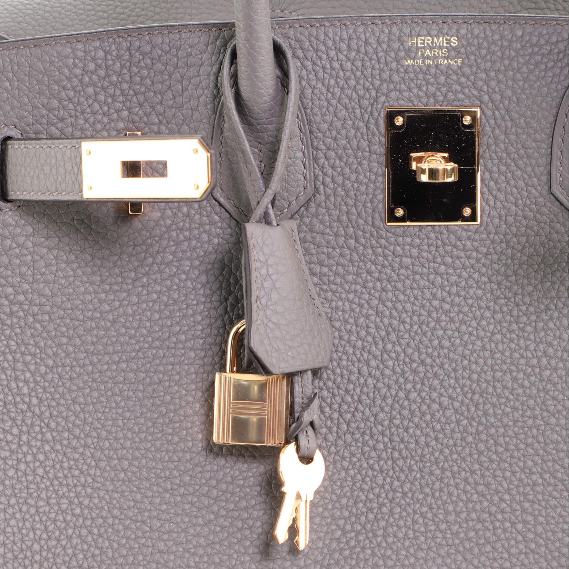 Hermes Birkin Handbag Etain Togo with Gold Hardware 30 2