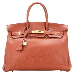 Hermes Birkin Handbag Etrusque Buffalo Skipper with Gold Hardware 35