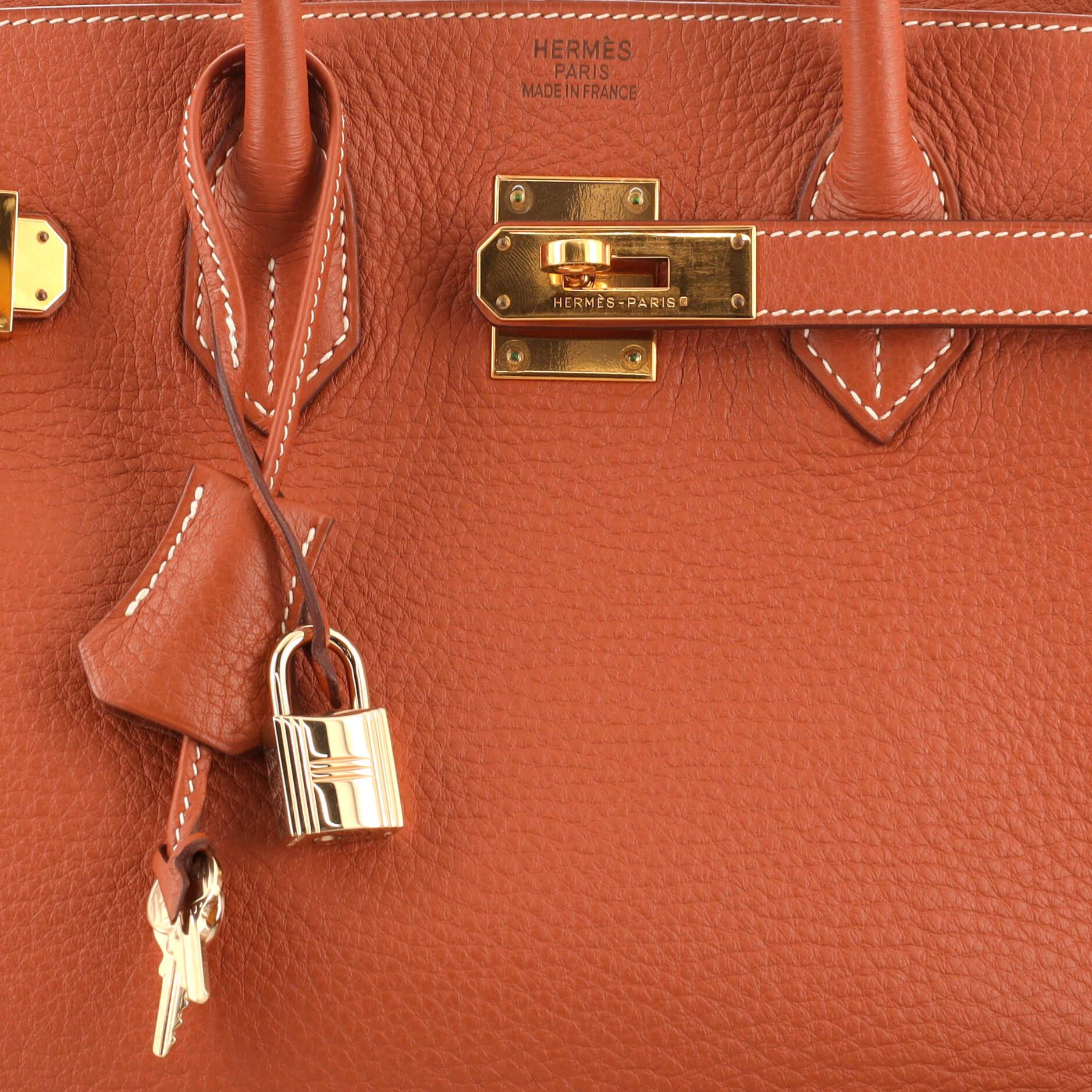 Women's or Men's Hermes Birkin Handbag Etrusque Fjord with Gold Hardware 35 For Sale