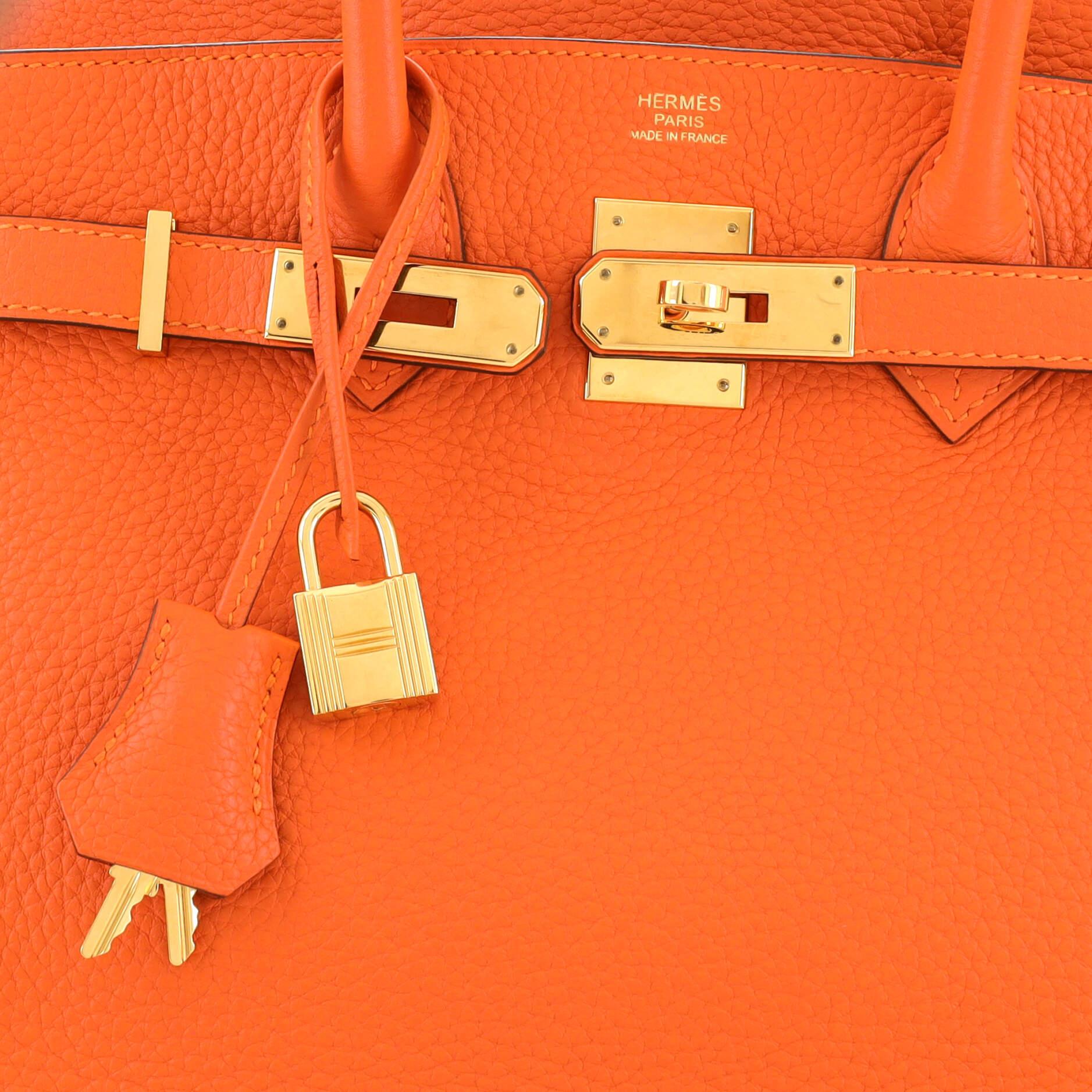 Hermes Birkin Handbag Feu Clemence with Gold Hardware 30 1
