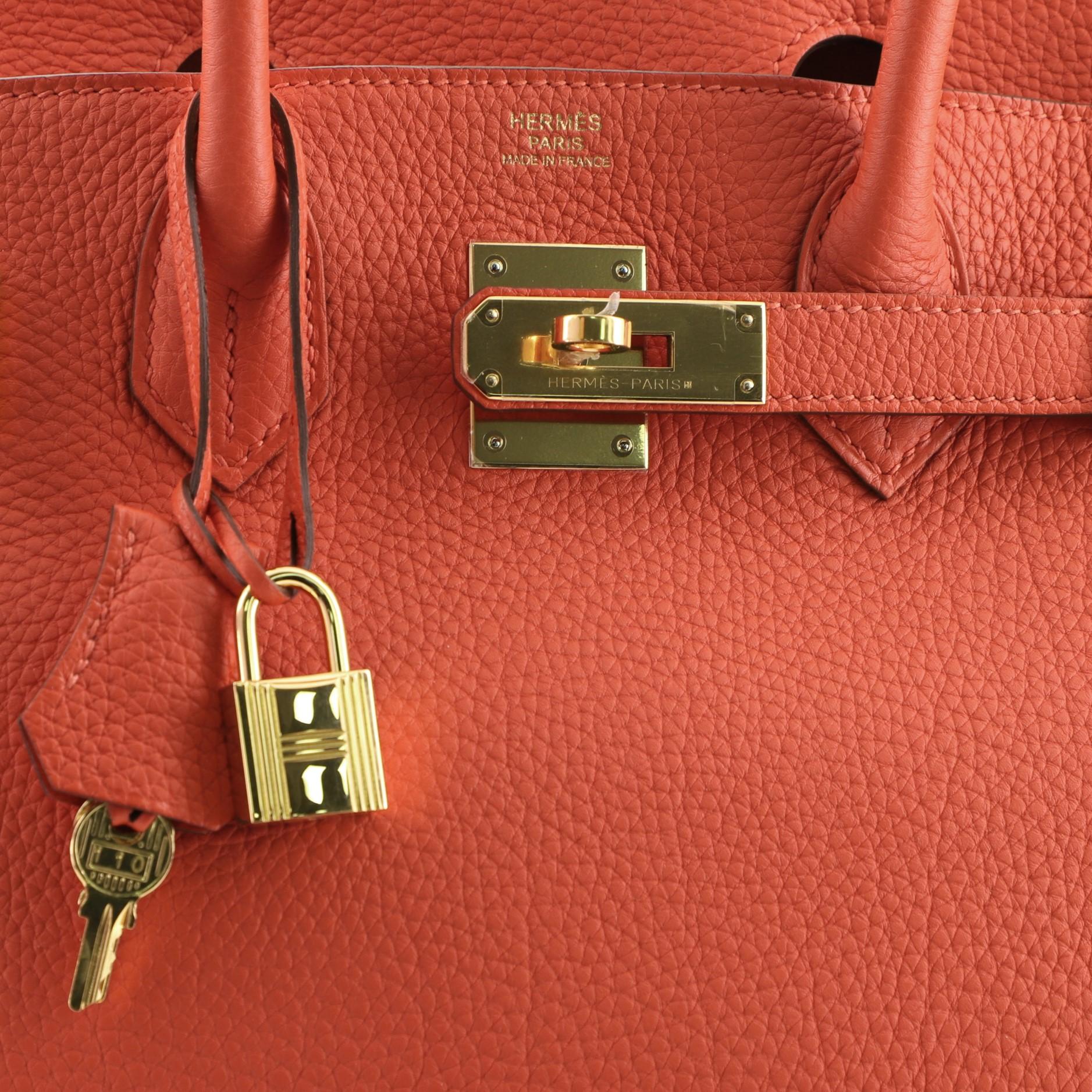 Hermes Birkin Handbag Feu Togo with Gold Hardware 30 3