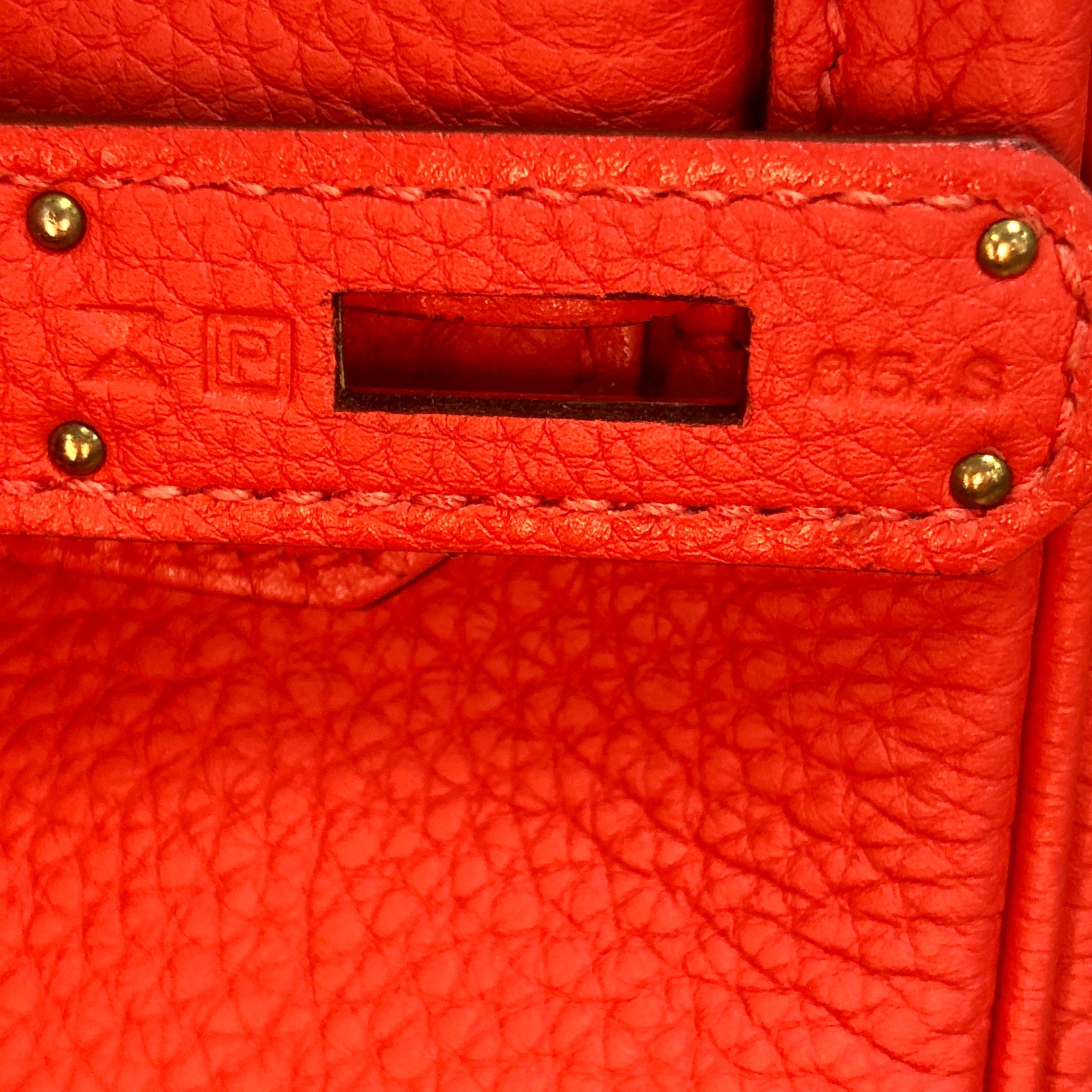Hermes Birkin Handbag Feu Togo with Gold Hardware 30 5