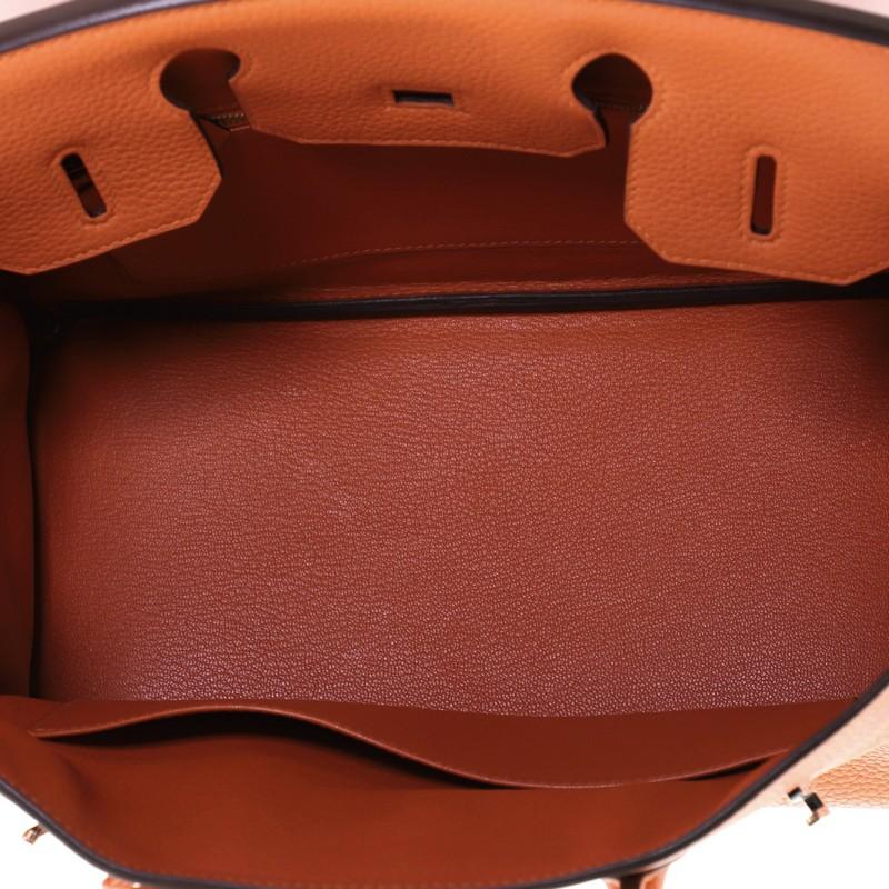 Hermes Birkin Handbag Feu Togo with Palladium Hardware 30 1