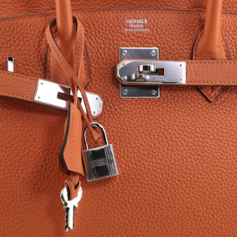Hermes Birkin Handbag Feu Togo with Palladium Hardware 30 2