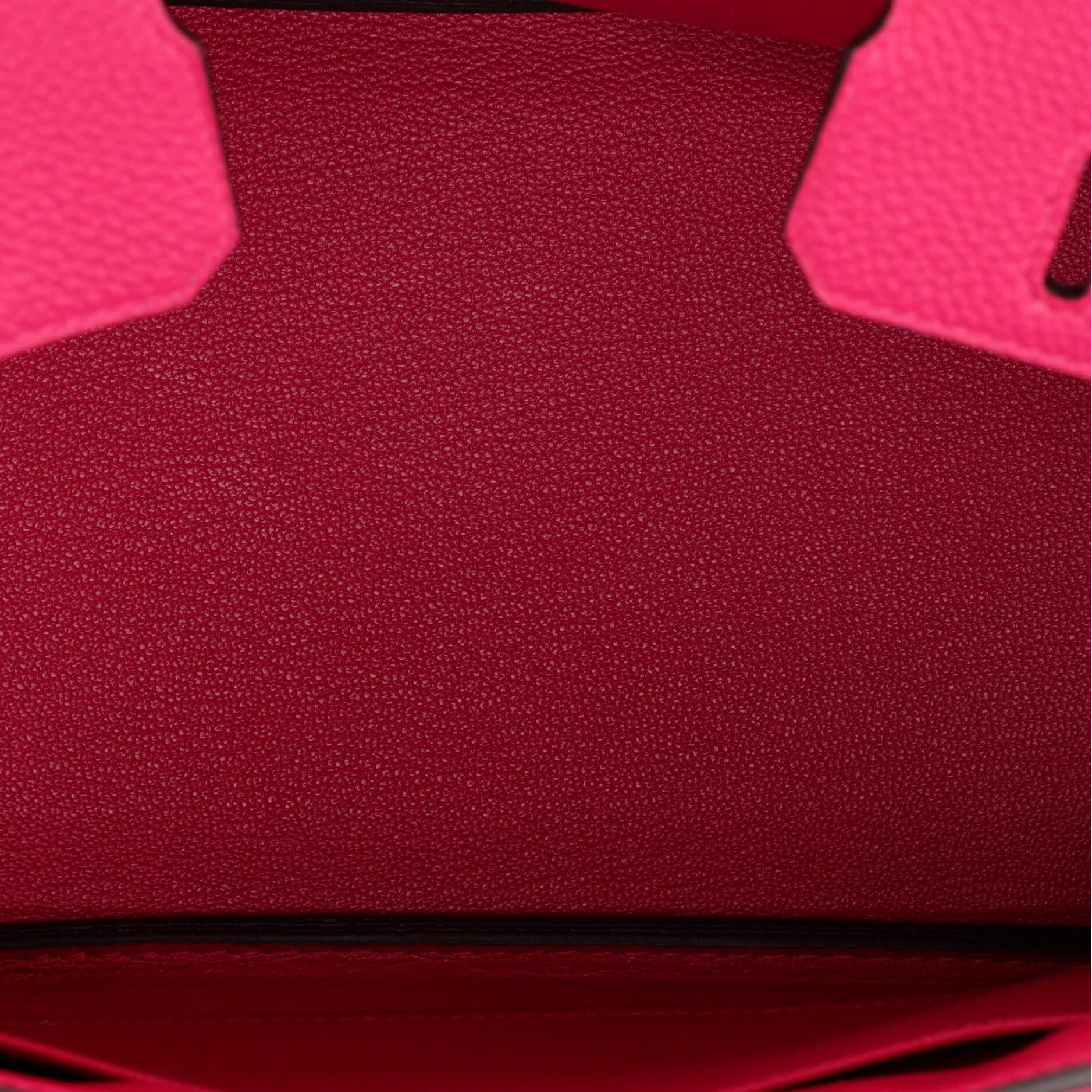 Hermes Birkin Handbag Framboise Togo with Palladium Hardware 25 For Sale 2
