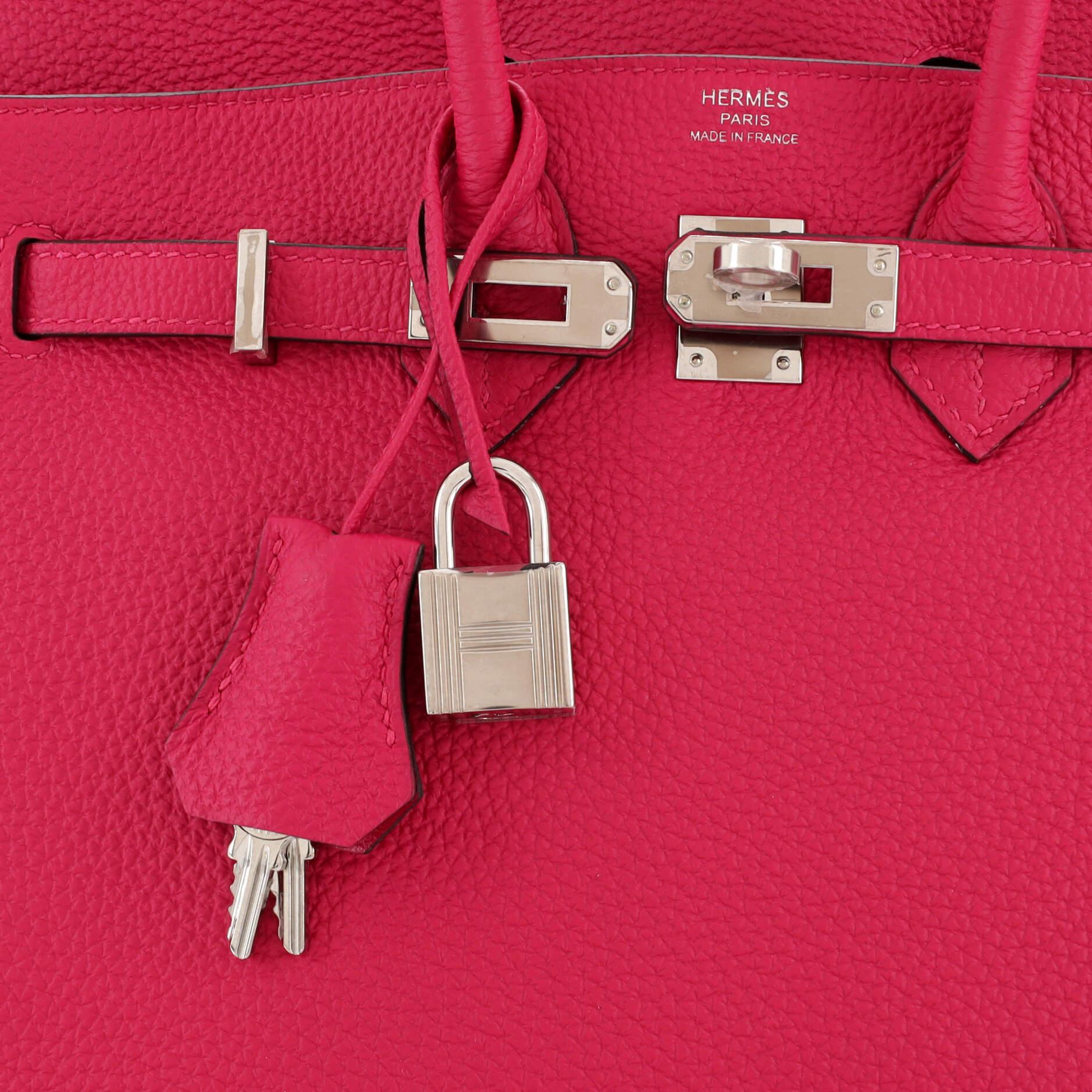 Hermes Birkin Handbag Framboise Togo with Palladium Hardware 25 For Sale 3