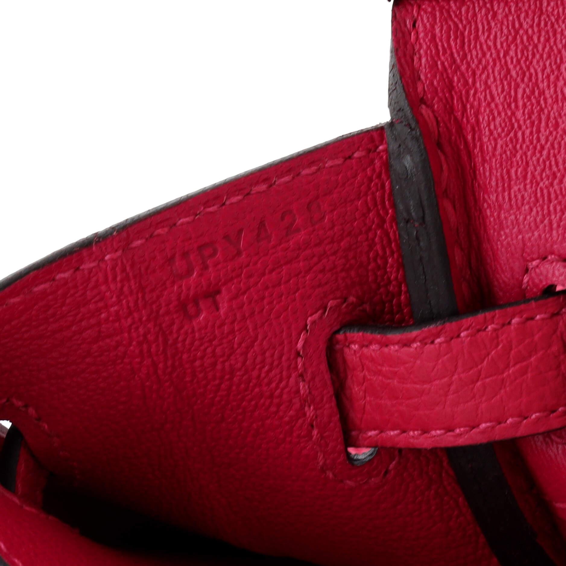 Hermes Birkin Handbag Framboise Togo with Palladium Hardware 25 4