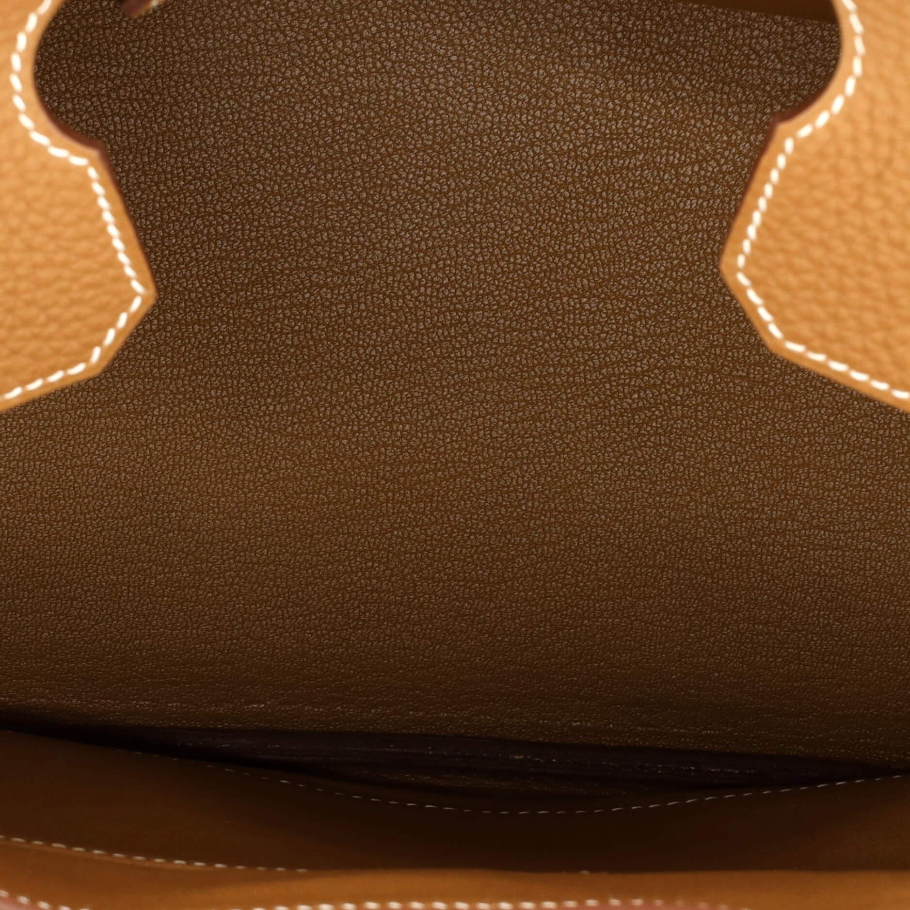 Hermes Birkin Handbag Gold Togo with Palladium Hardware 30 2