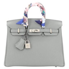 Hermes Birkin Handbag Grey Clemence with Palladium Hardware 25