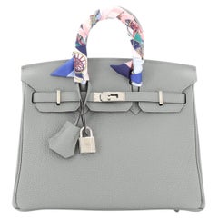 Hermes Birkin 25 Bag Gris Agate Lizard Palladium Hardware Very Rare at  1stDibs