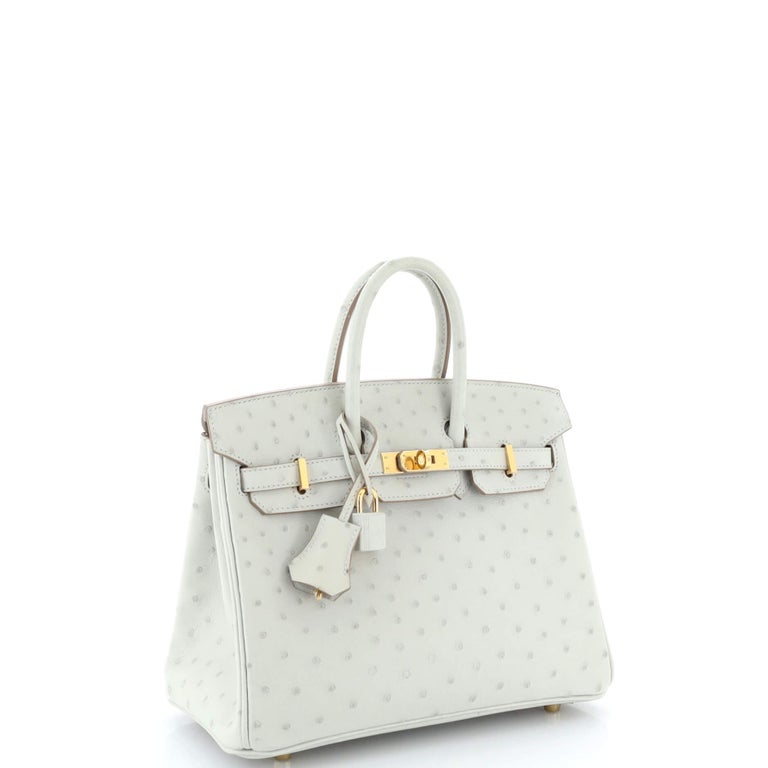 Hermes Birkin Handbag Grey Ostrich with Gold Hardware 25 Gray 1743371