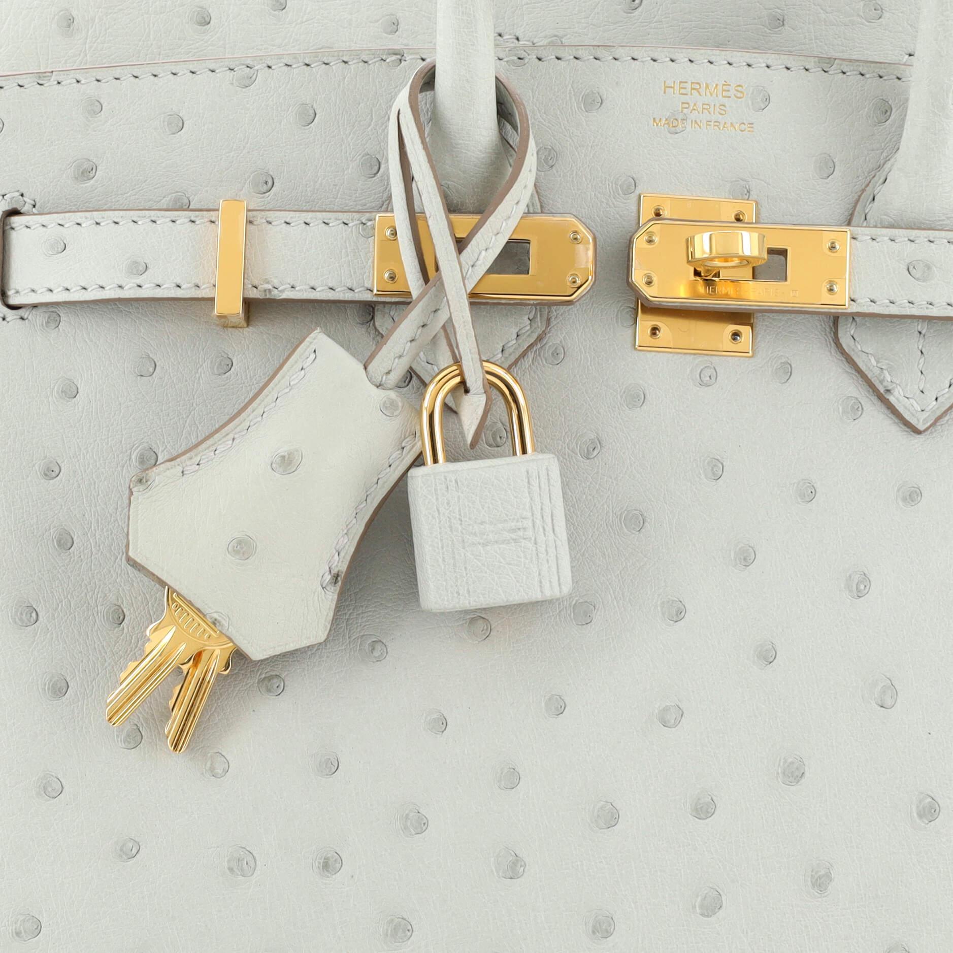 Hermes Birkin Handbag Grey Ostrich with Gold Hardware 25 3