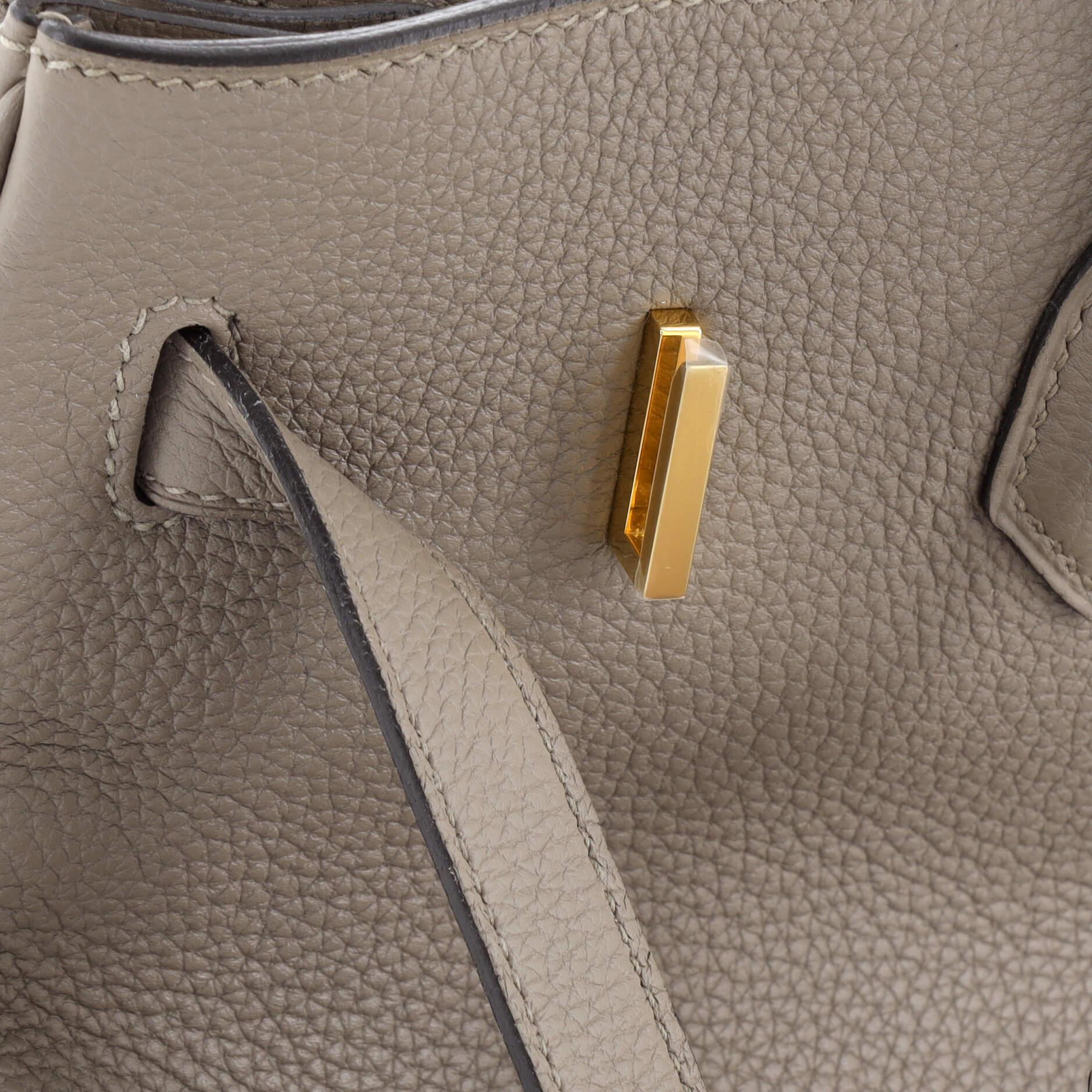 Hermes Birkin Handbag Grey Togo with Gold Hardware 35 4