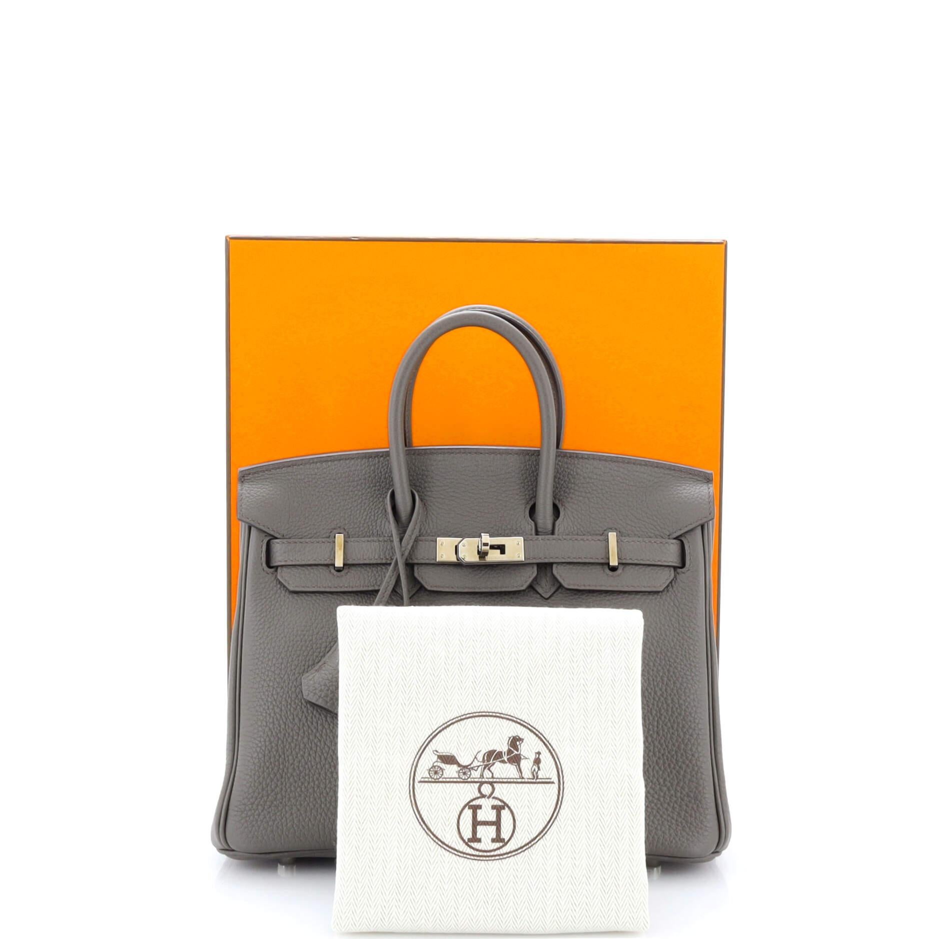 Hermes Birkin 25 Bag Etain Gold Hardware Togo Leather New w/Box – Mightychic
