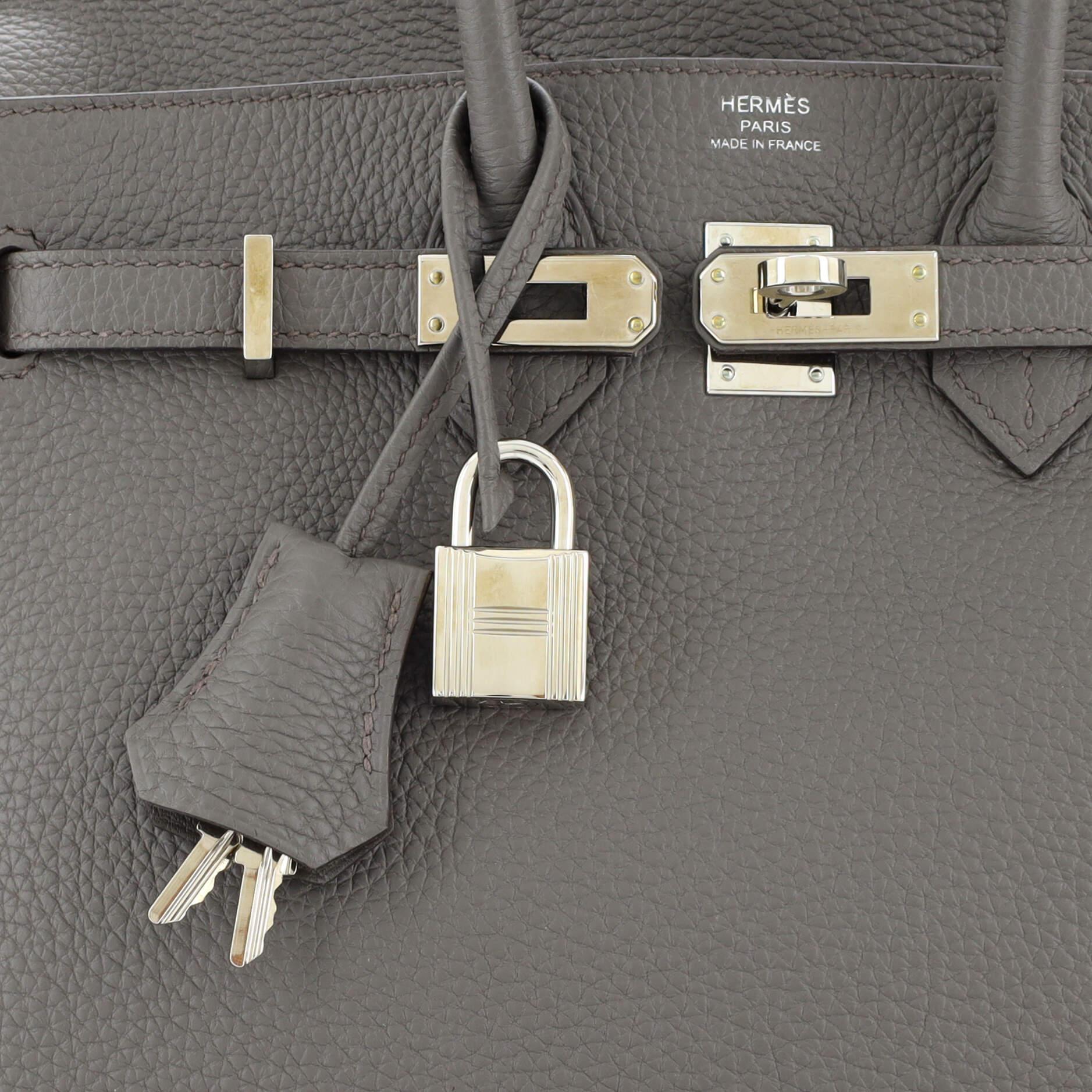 Hermes Birkin Handbag Grey Togo with Palladium Hardware 25 3