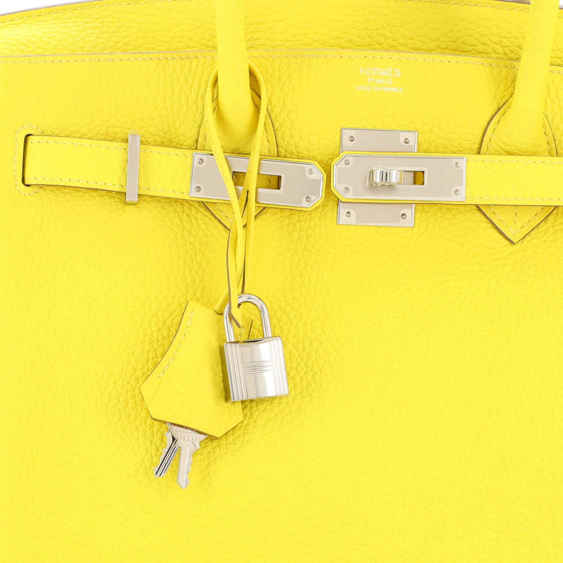 Hermes Birkin Handbag Lime Togo with Palladium Hardware 30 3