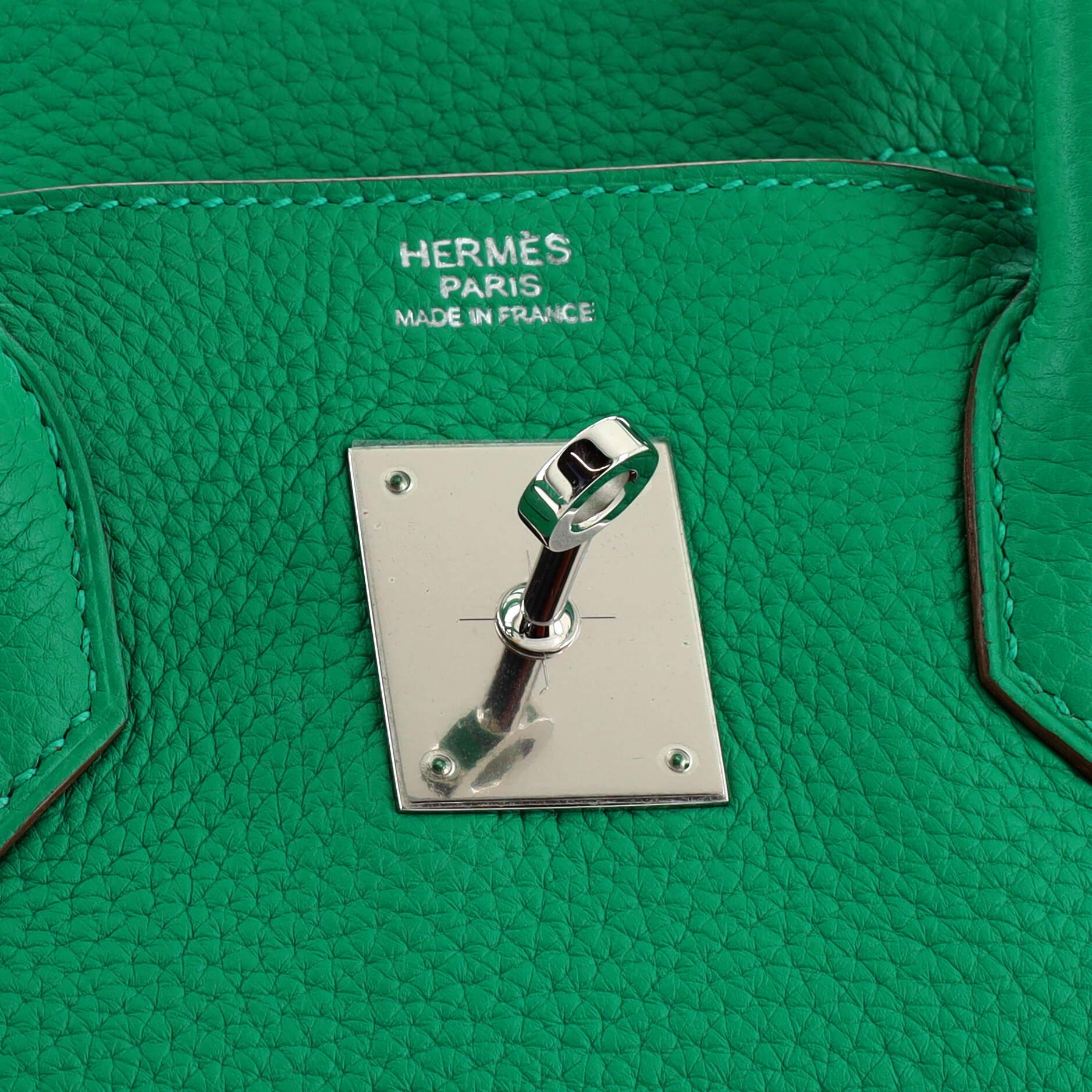 Hermes Birkin Handbag Menthe Togo with Palladium Hardware 30 6