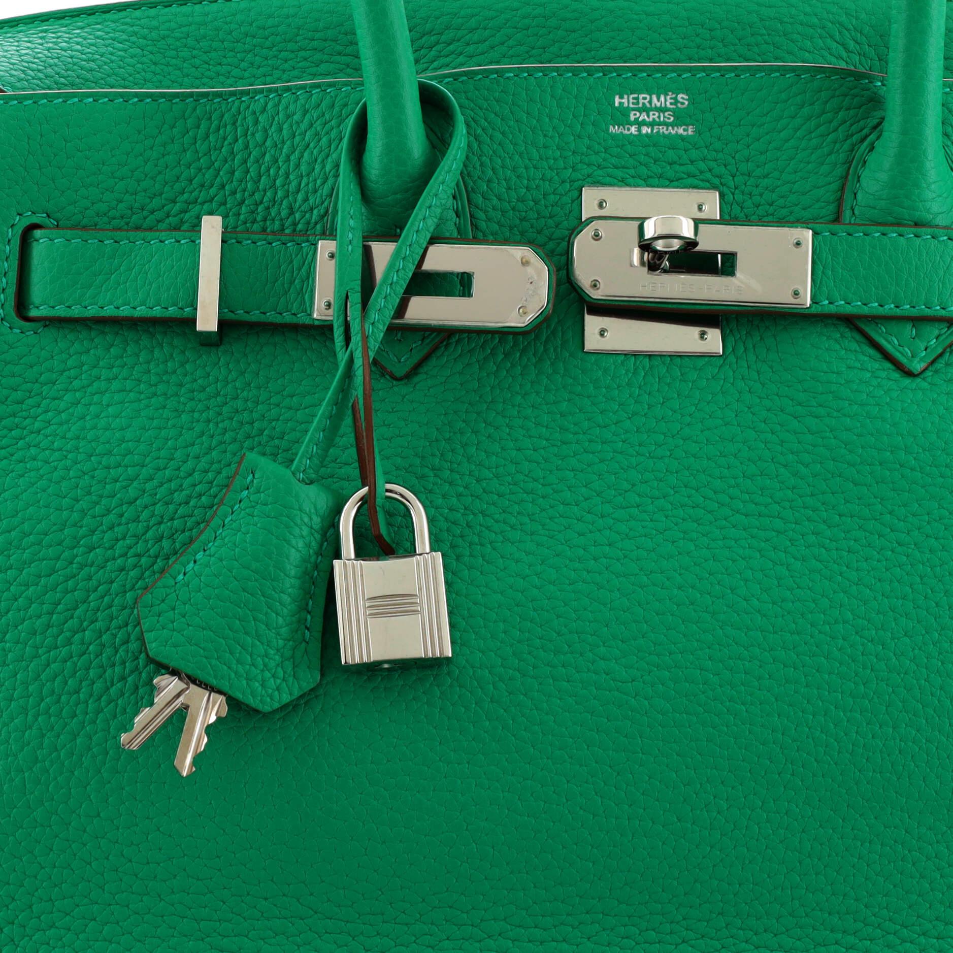 Hermes Birkin Handbag Menthe Togo with Palladium Hardware 30 3