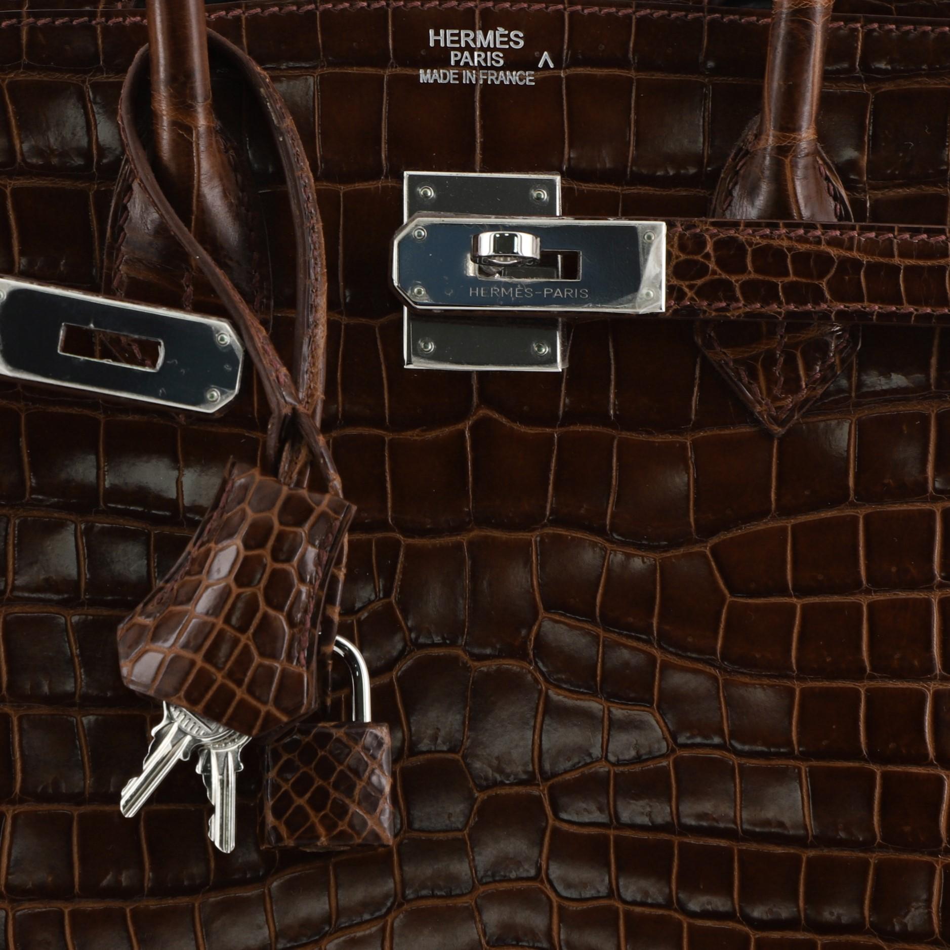 Hermes Birkin Handbag Miel Shiny Porosus Crocodile with Palladium Hardware 35 2