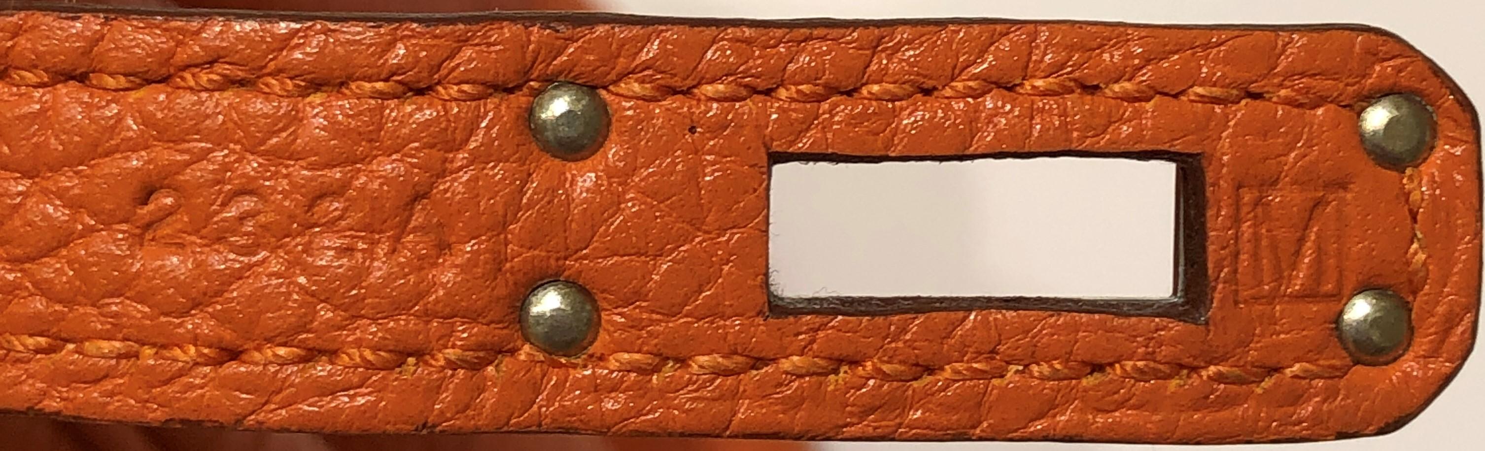 Hermes Birkin Handbag Orange H Clemence with Palladium Hardware 25 4