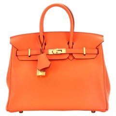 Hermes Birkin Handbag Orange H Swift with Gold Hardware 25