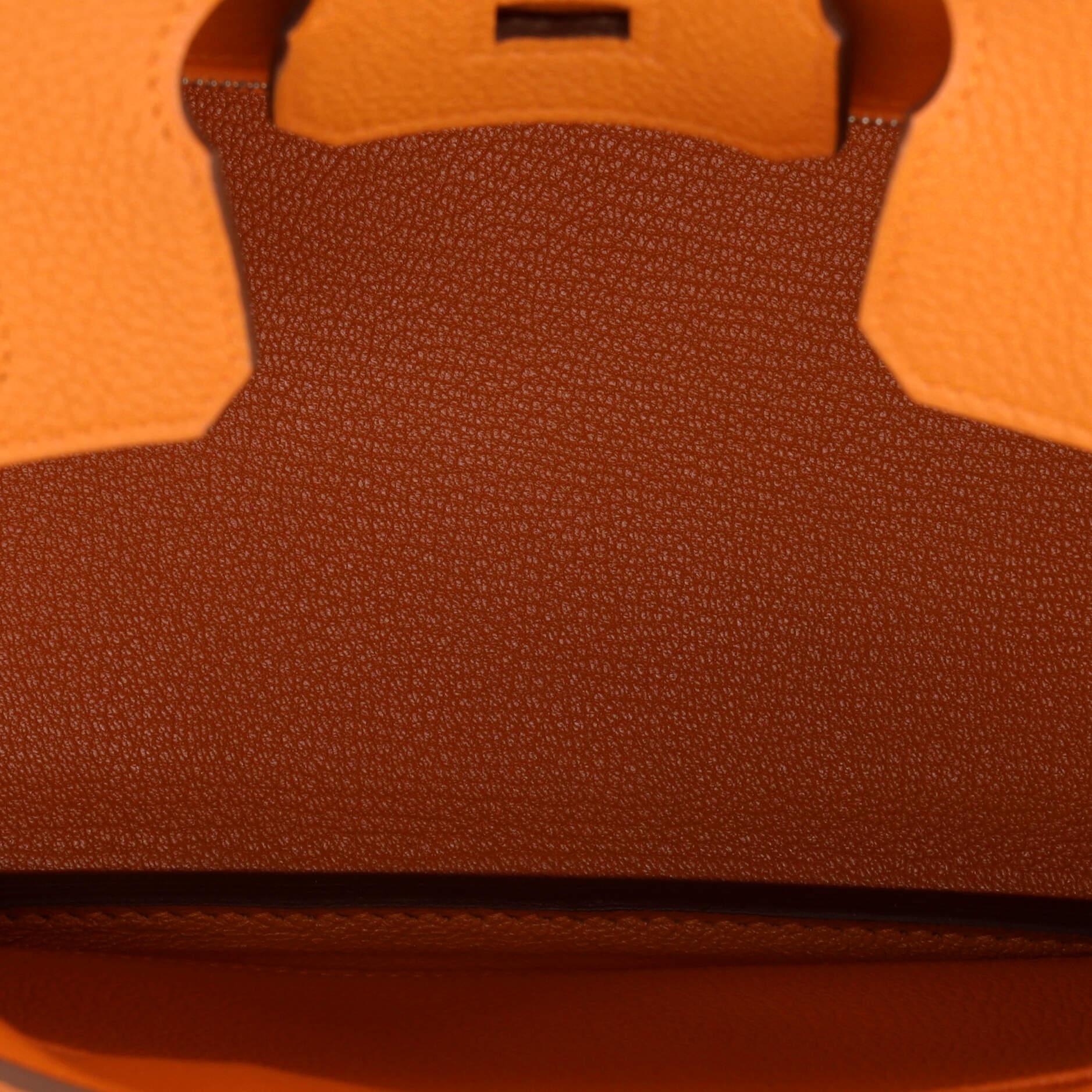 Hermes Birkin Handbag Orange Minimum Togo with Palladium Hardware 25 1