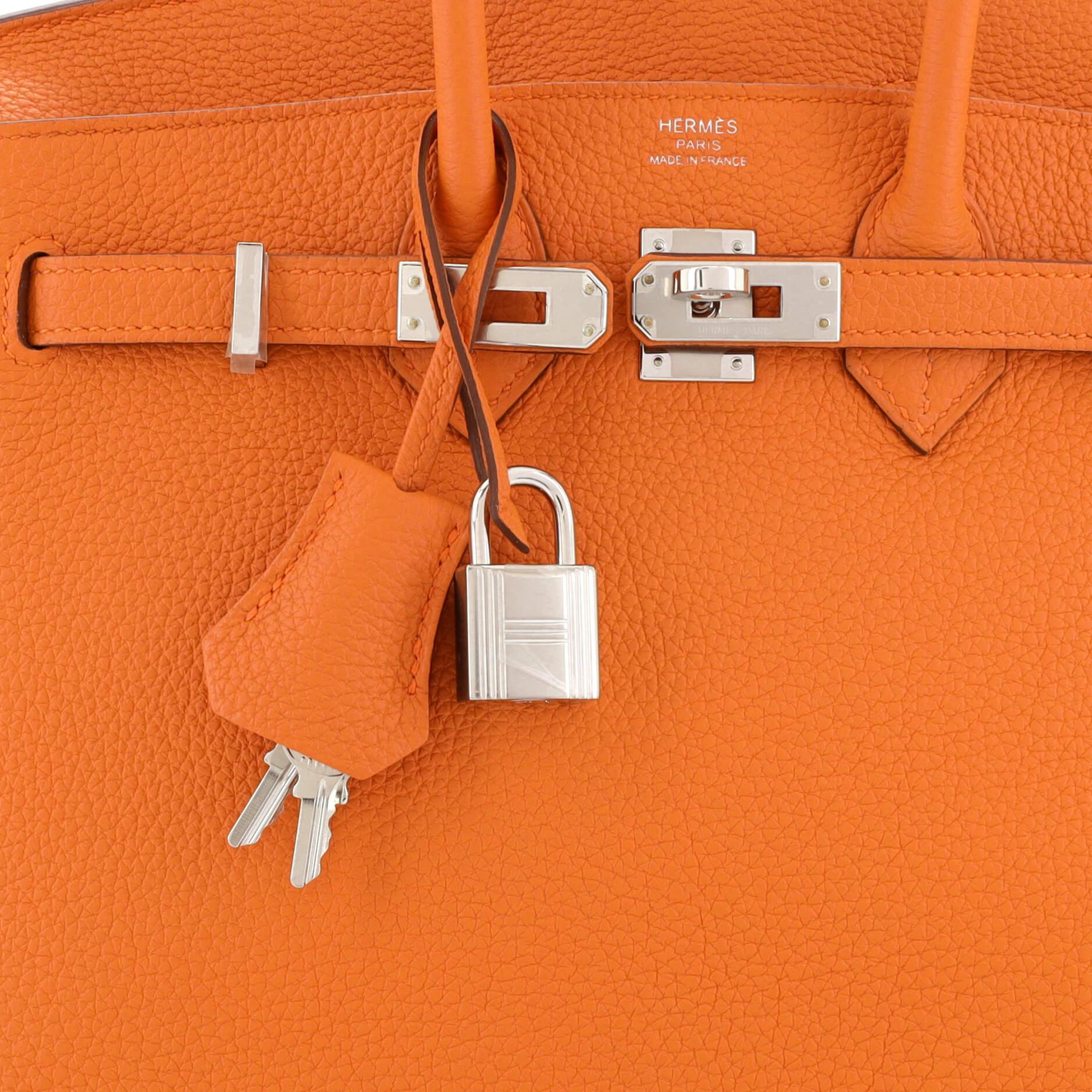 Hermes Birkin Handbag Orange Minimum Togo with Palladium Hardware 25 2