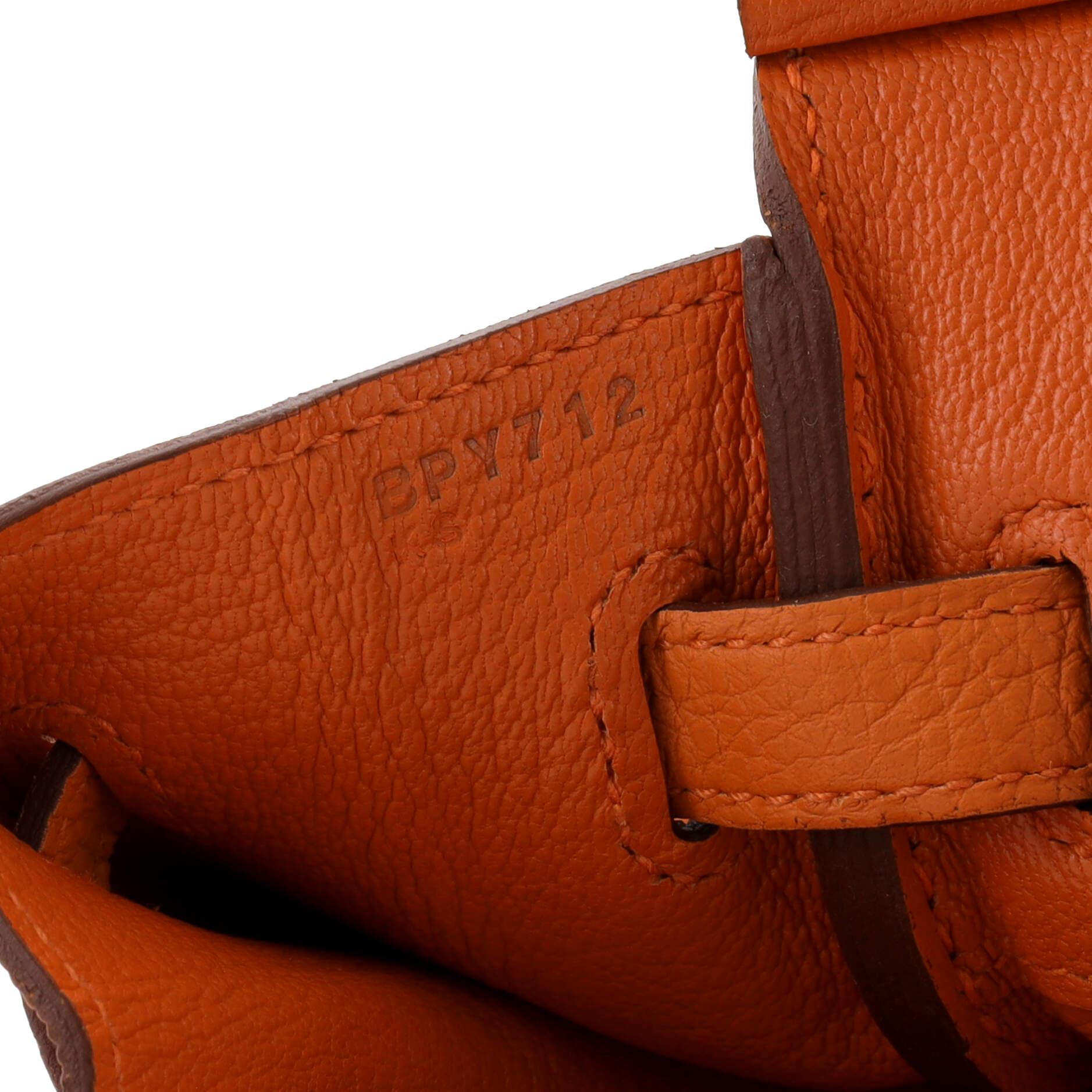 Hermes Birkin Handbag Orange Minimum Togo with Palladium Hardware 25 3
