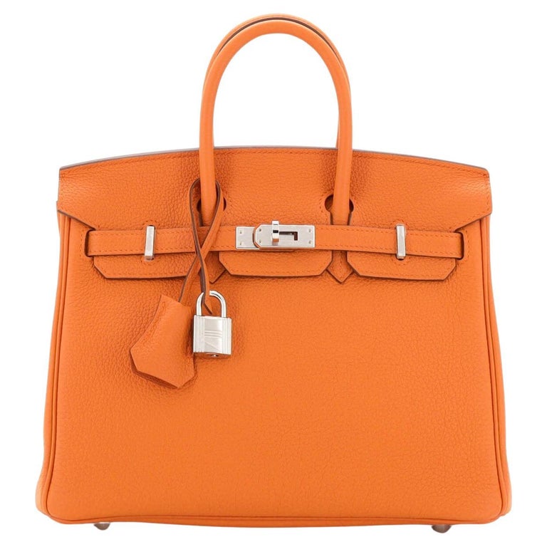 Hermes Birkin Handbag Orange Minimum Togo with Palladium Hardware 25