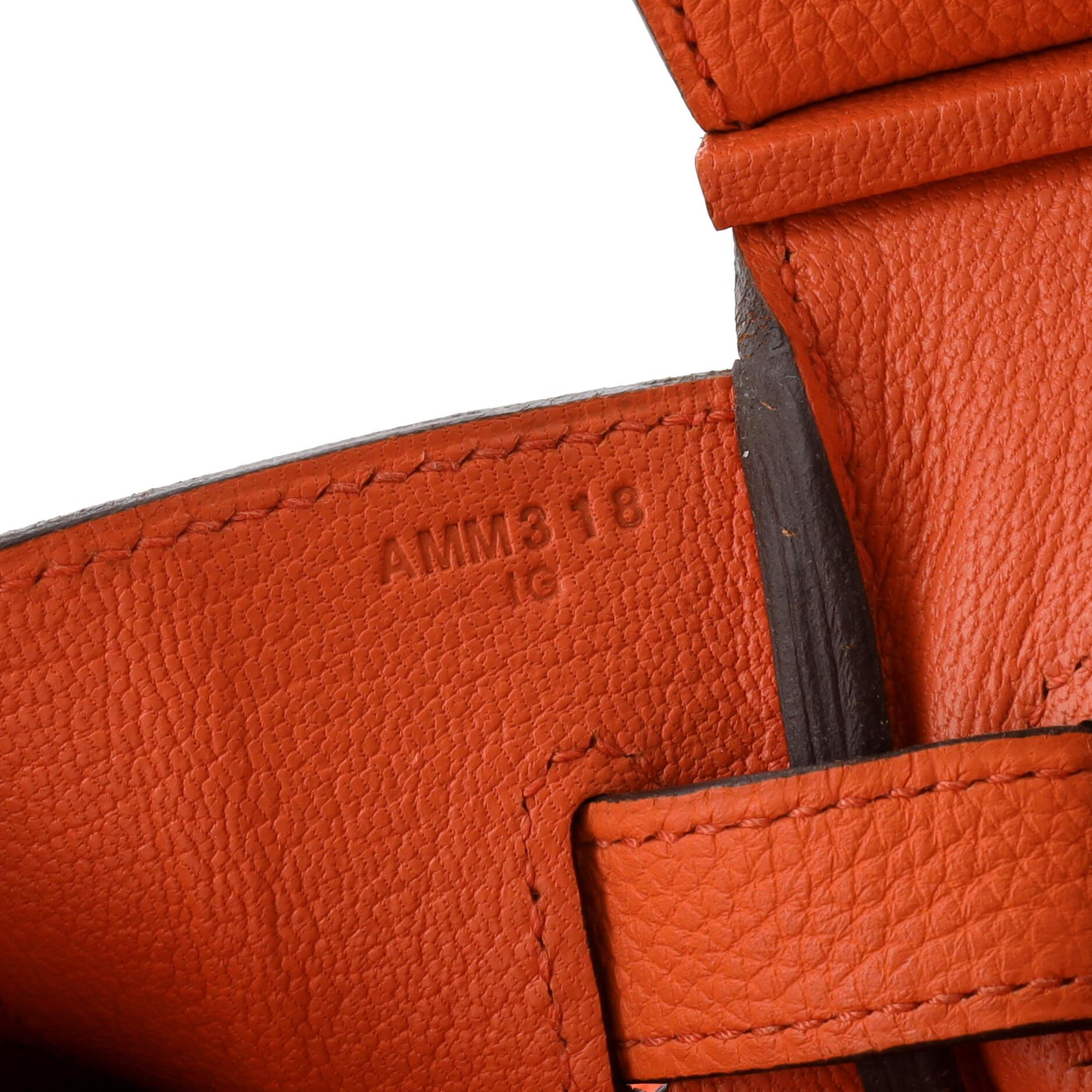 Hermes Birkin Handbag Orange Poppy Togo with Gold Hardware 30 For Sale 4