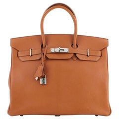 Hermes Birkin Handbag Potiron Chevre de Coromandel with Palladium Hardwar