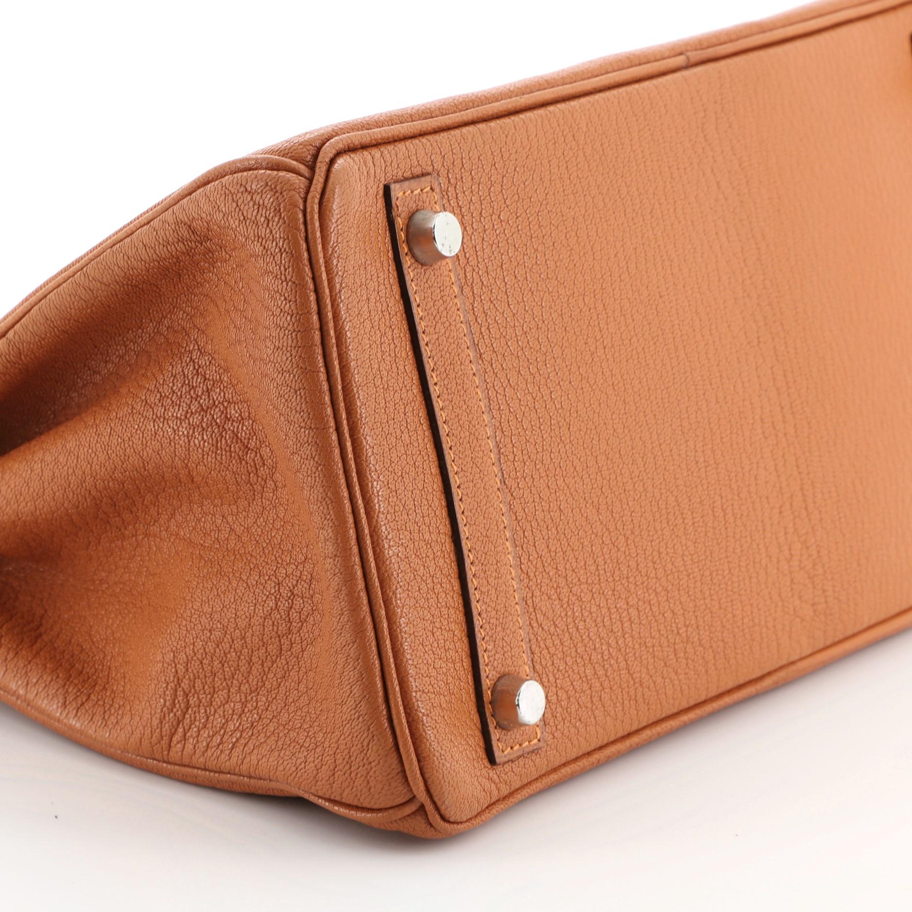 Orange Hermes Birkin Handbag Potiron Chevre de Coromandel with Palladium Hardware 30