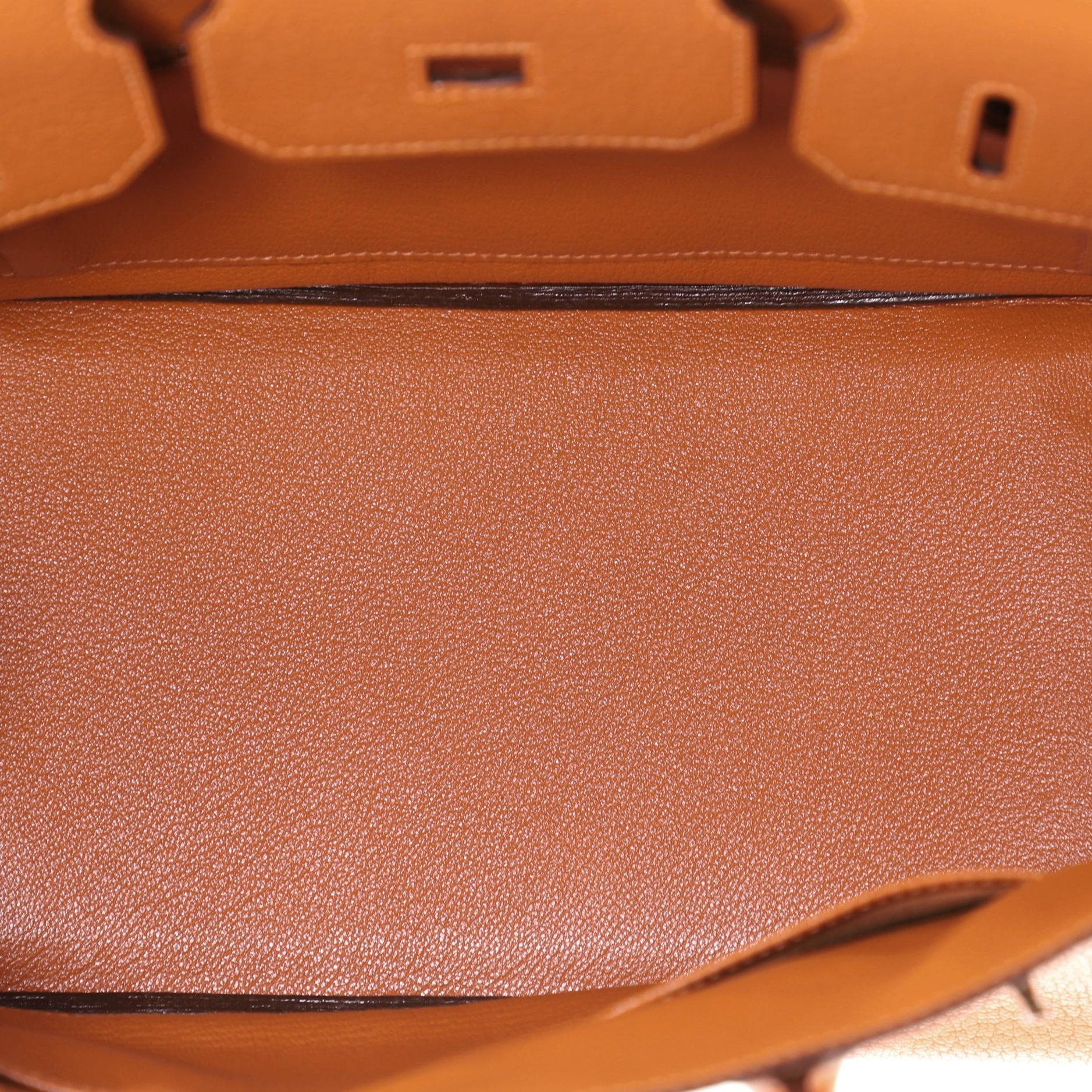 Women's or Men's Hermes Birkin Handbag Potiron Chevre de Coromandel with Palladium Hardware 30