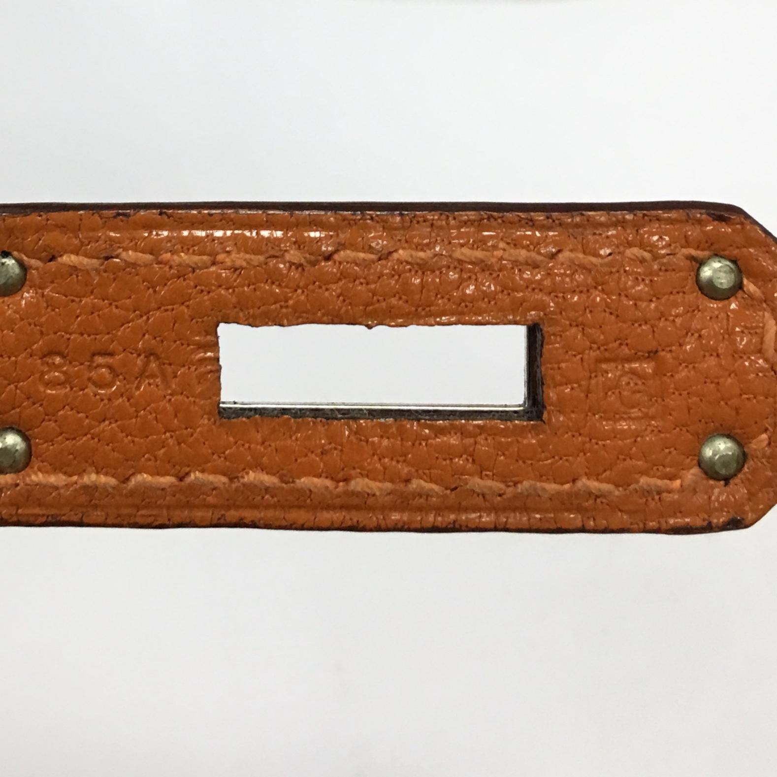 Hermes Birkin Handbag Potiron Chevre de Coromandel with Palladium Hardware 30 1